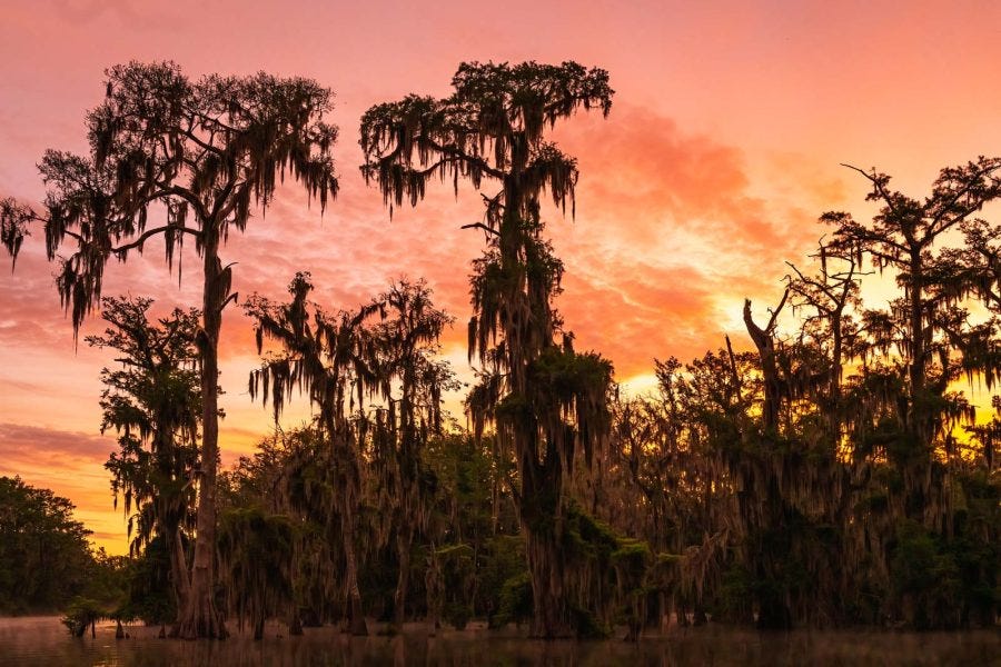 Louisiana landscape photography