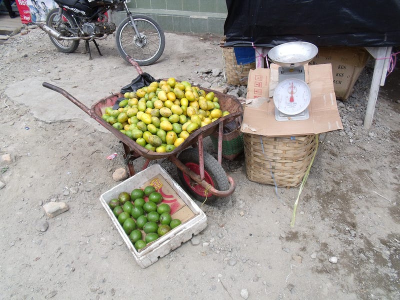 Wheelbarrow full of mangoes: Tomok - Sumatra
