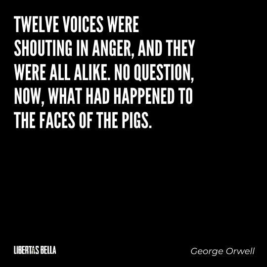 1984 Quotes - "Twelve voices were shouting in anger, and they were all alike. No question..."