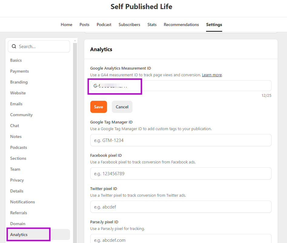 Substack publication analytics dashboard screenshot