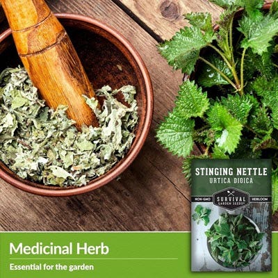 medicinal herb 