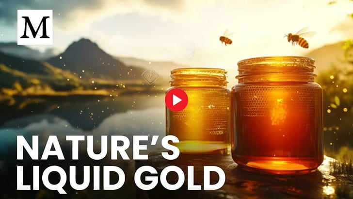 This Honey Fights Bacteria, but THIS One Stops Aging?!
