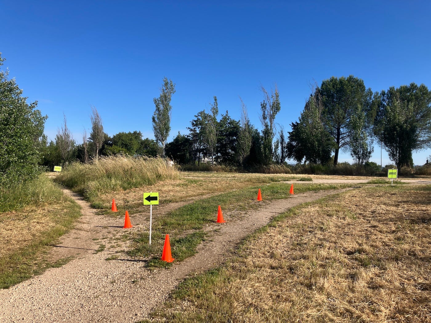 Cones and signs on a grass triangle marking the route