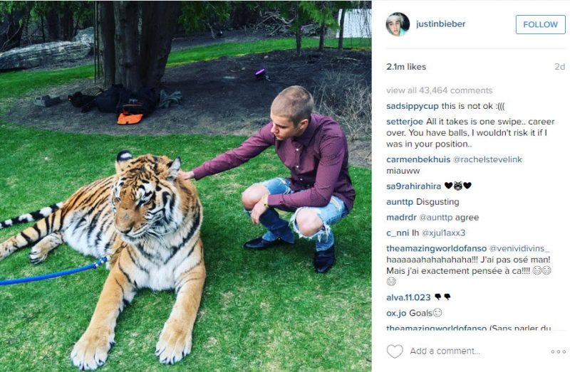 justin bieber tiger time instagram