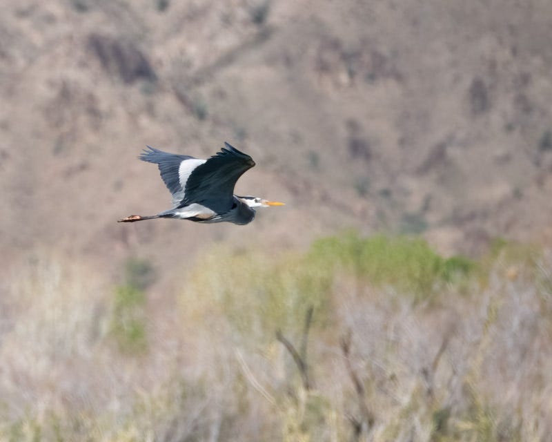 20240218-Yuma-695-Edit.jpg