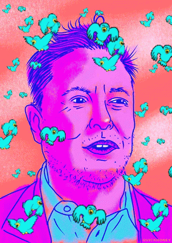 An animated illustration of Elon Musk with a face whose color is flashing between neon pink and neon pink, green, red, and blue. He's surrounded by turquoise, bird-like creatures resembling the Twitter mascot, all set against a neon background. It's a vibrant and playful representation of Elon's notable presence on Twitter.