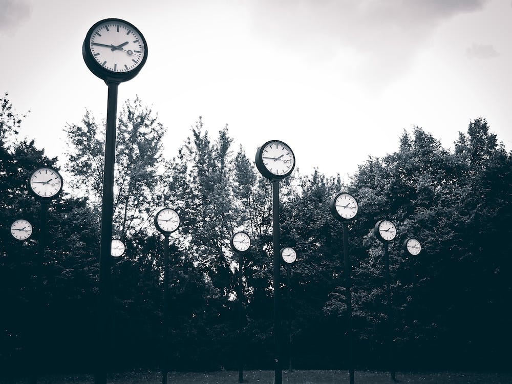 Free Gray Scale Photography of Clock Near Trees Stock Photo