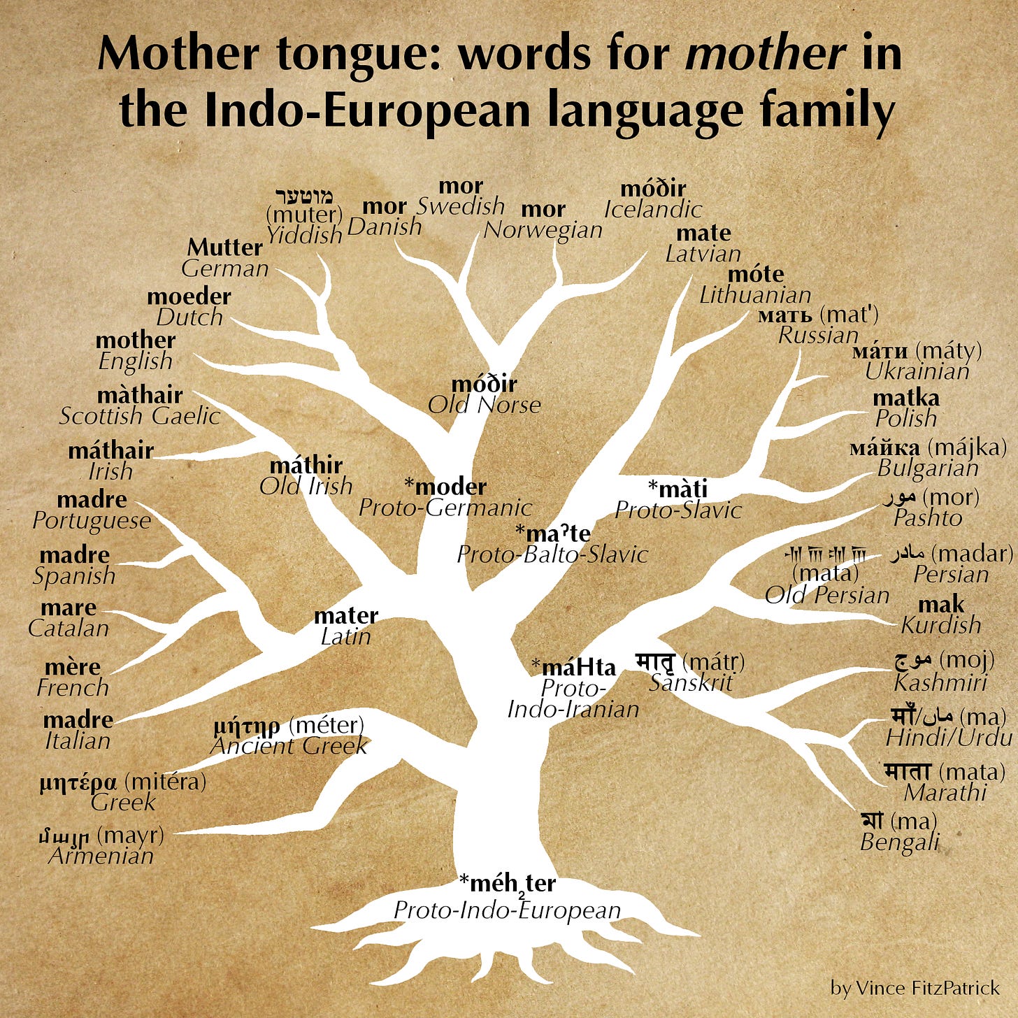 [OC] Words for "mother" that descend from a common Proto-Indo-European ...