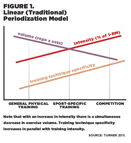 Periodization for Maximizing Hypertrophy - IDEA Health & Fitness ...