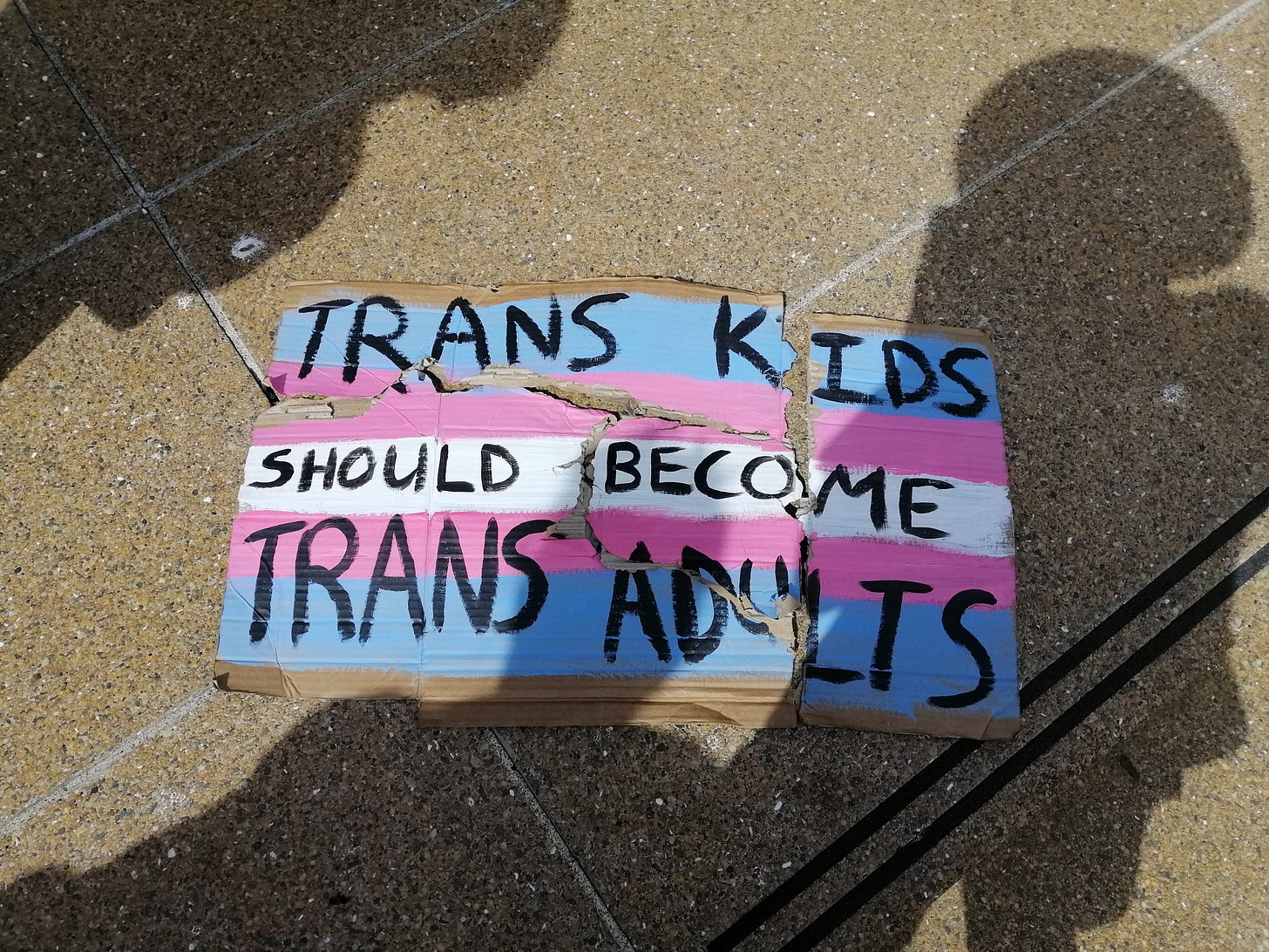 Sign on the ground that is a trans flag with the text Trans kids should become trans adults" the sign is ripped into four pieces