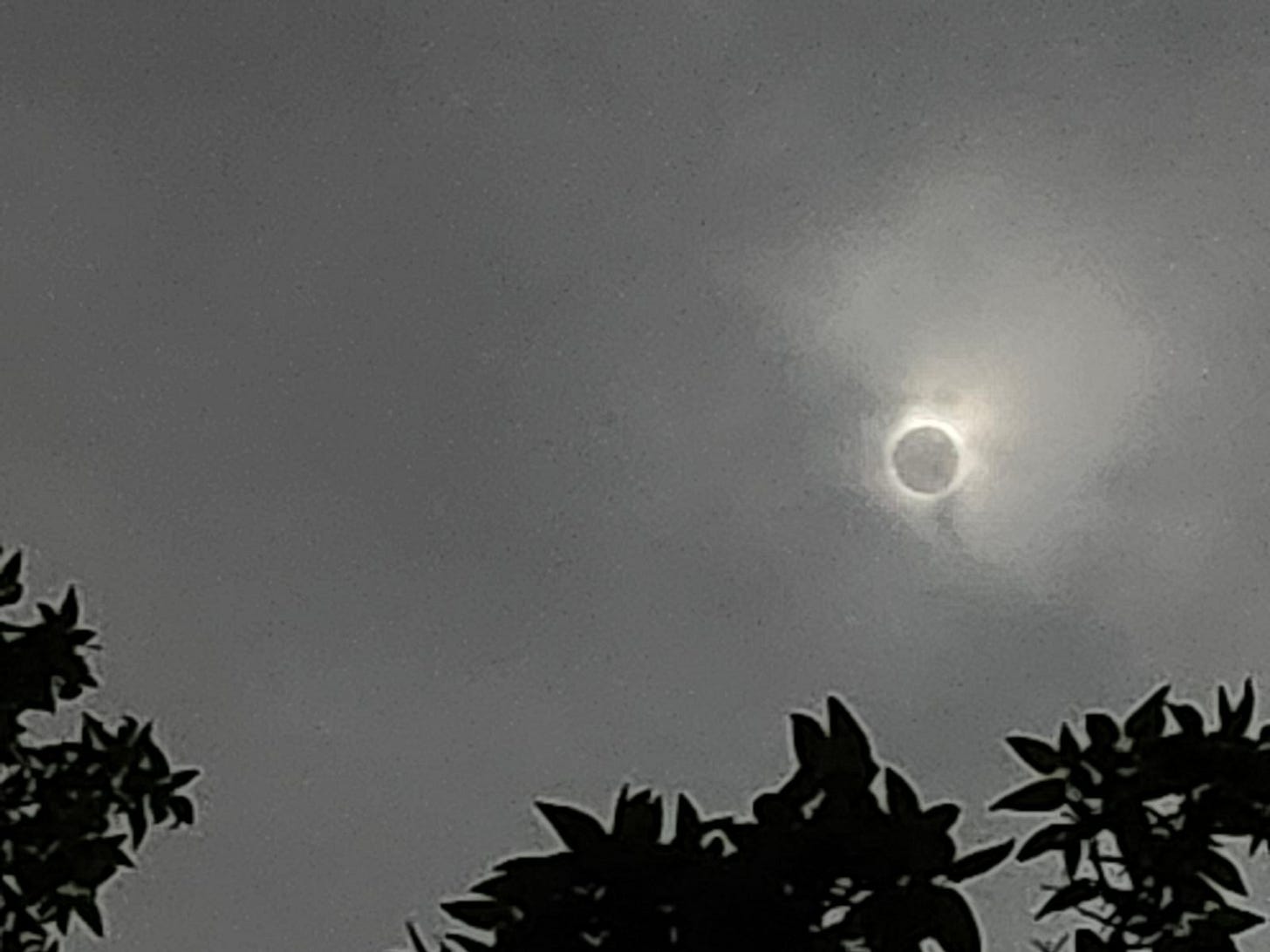 An eclipse in Texas on April 8, 2024