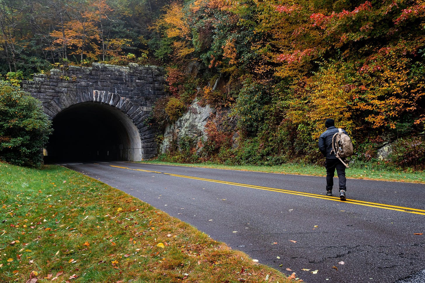 May be an image of 1 person, nature and road