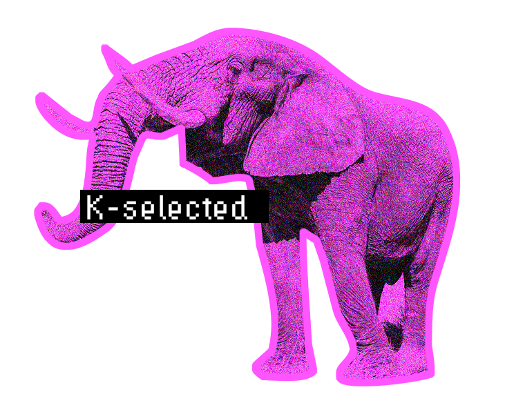 k-selected.png