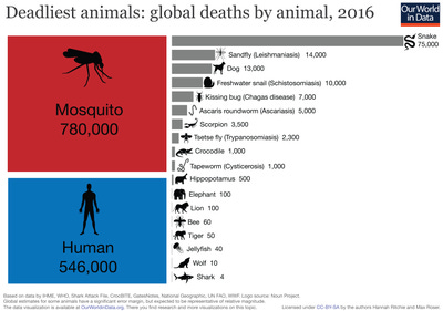 List of deadliest animals to humans - Wikipedia