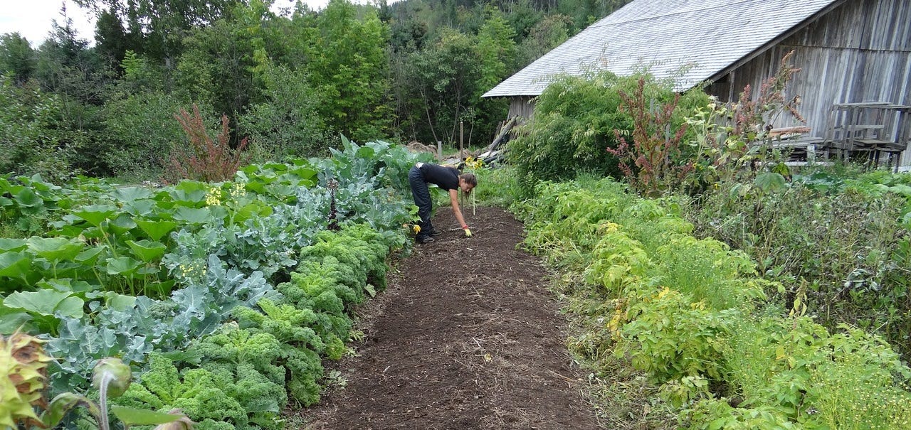 community supported agriculture