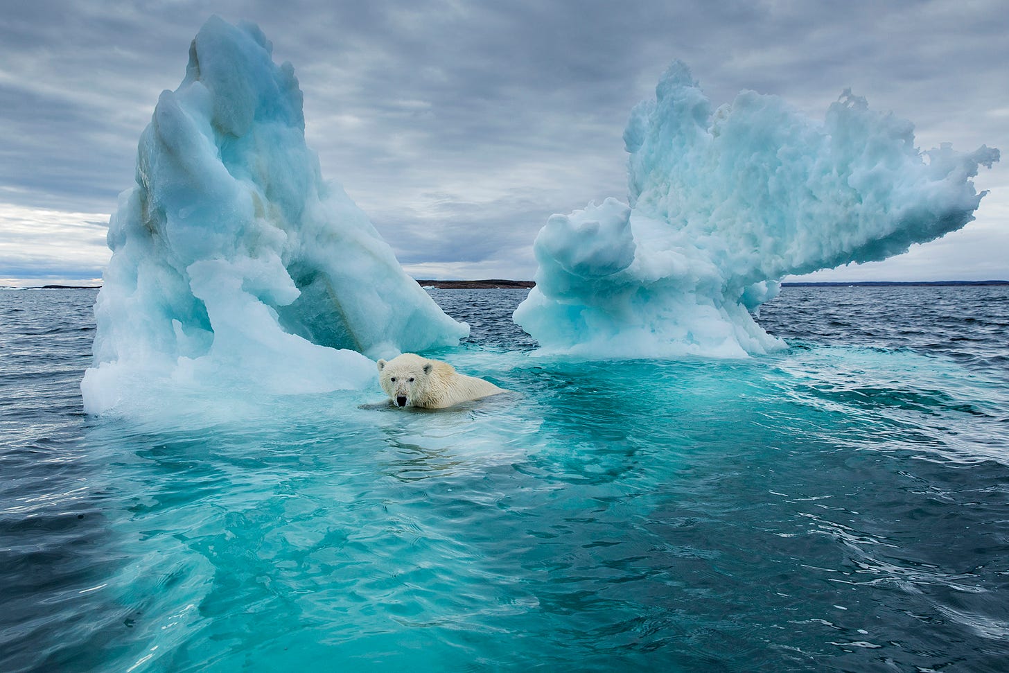 TIME for Kids | What is Global Warming?