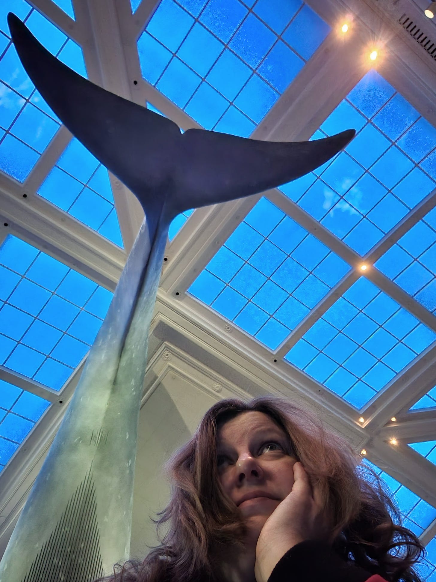 Cathy sits under a life-size model of a blue whale and looks up with a bemused expression that exposes how small she feels in comparison. 