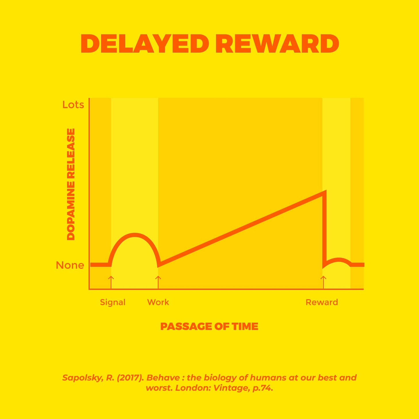 Chart of delayed reward from dopamine