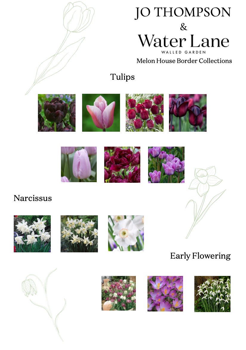 a poster with spring bulbs