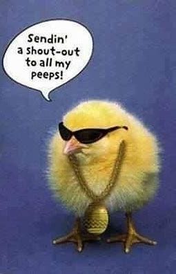 Image result for shout out