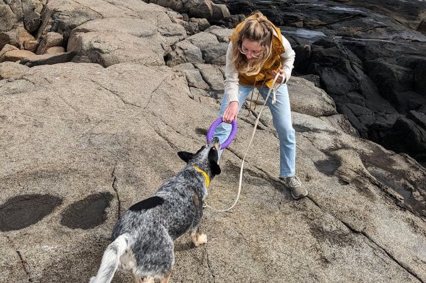 Haley, a young woman in a mustard vest, and Scout, a blue heeler wearing a white leash, tug on some rocks next to the Maine coastline