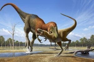 Artist illustration of Nanotyrannus attacking a juvenile T. rex.