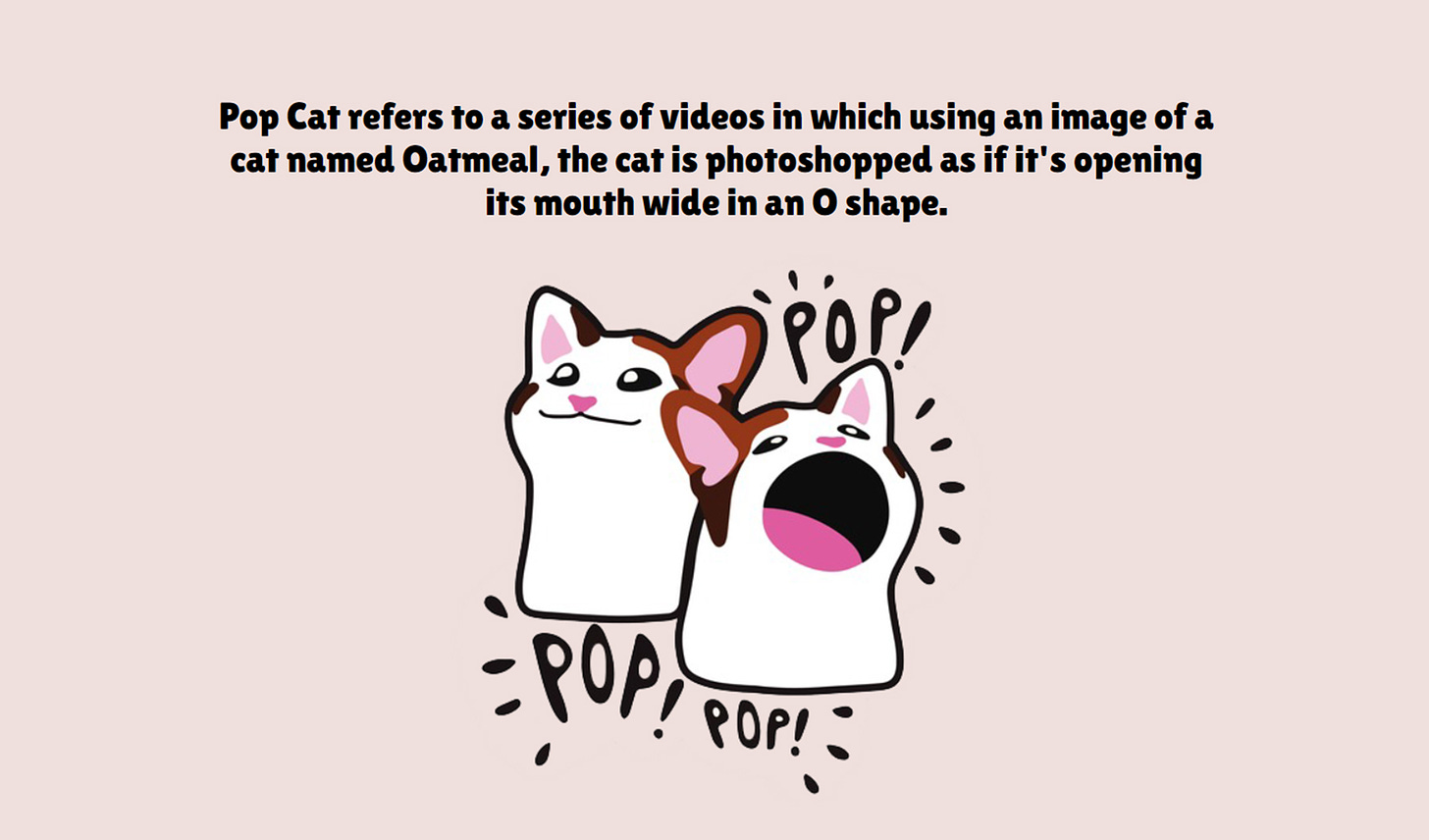 Popcat_10.jpg