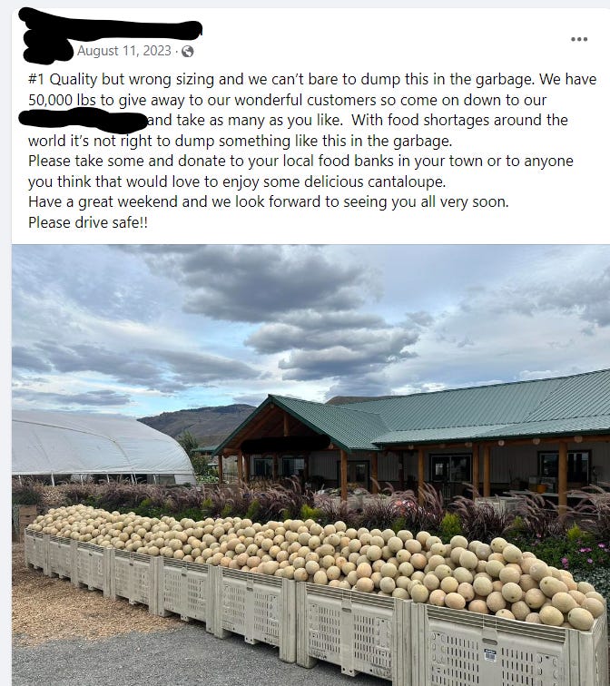 bins of melons at a market