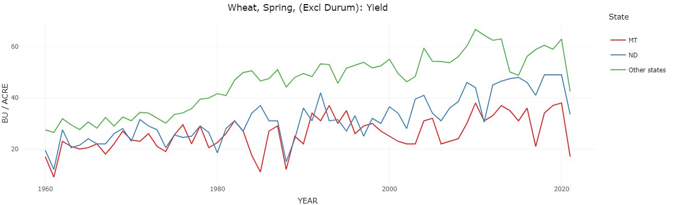 Spring wheat yield
