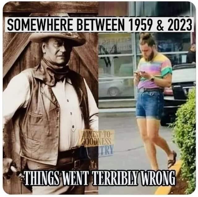 May be an image of 2 people and text that says 'SOMEWHERE BETWEEN 1959 & 2023 VEST-TO- OODNESS TRY THINGS WENT TERRIBLY WRONG'