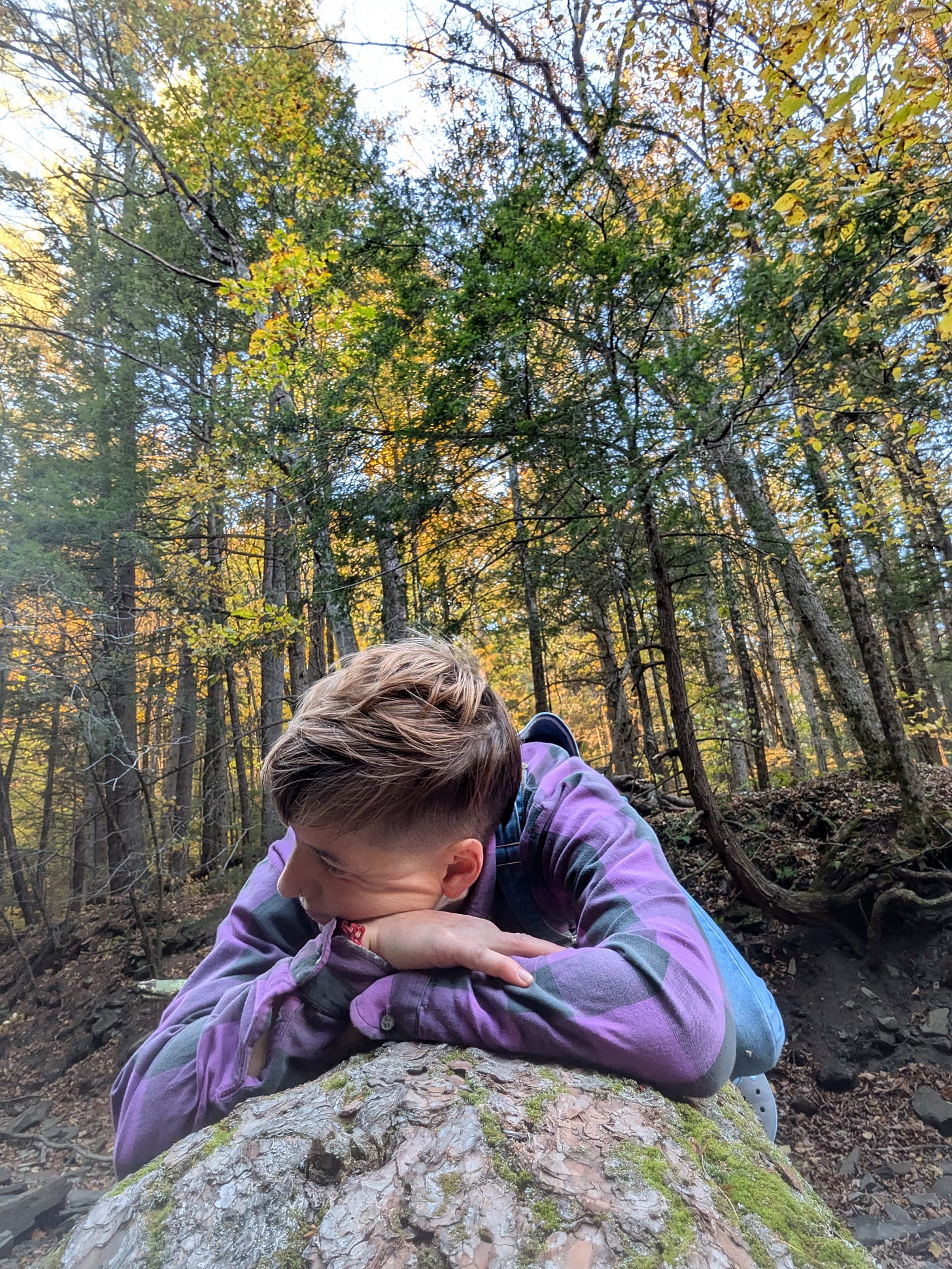 Confessions from a nonpatriot by Phoenix Birch