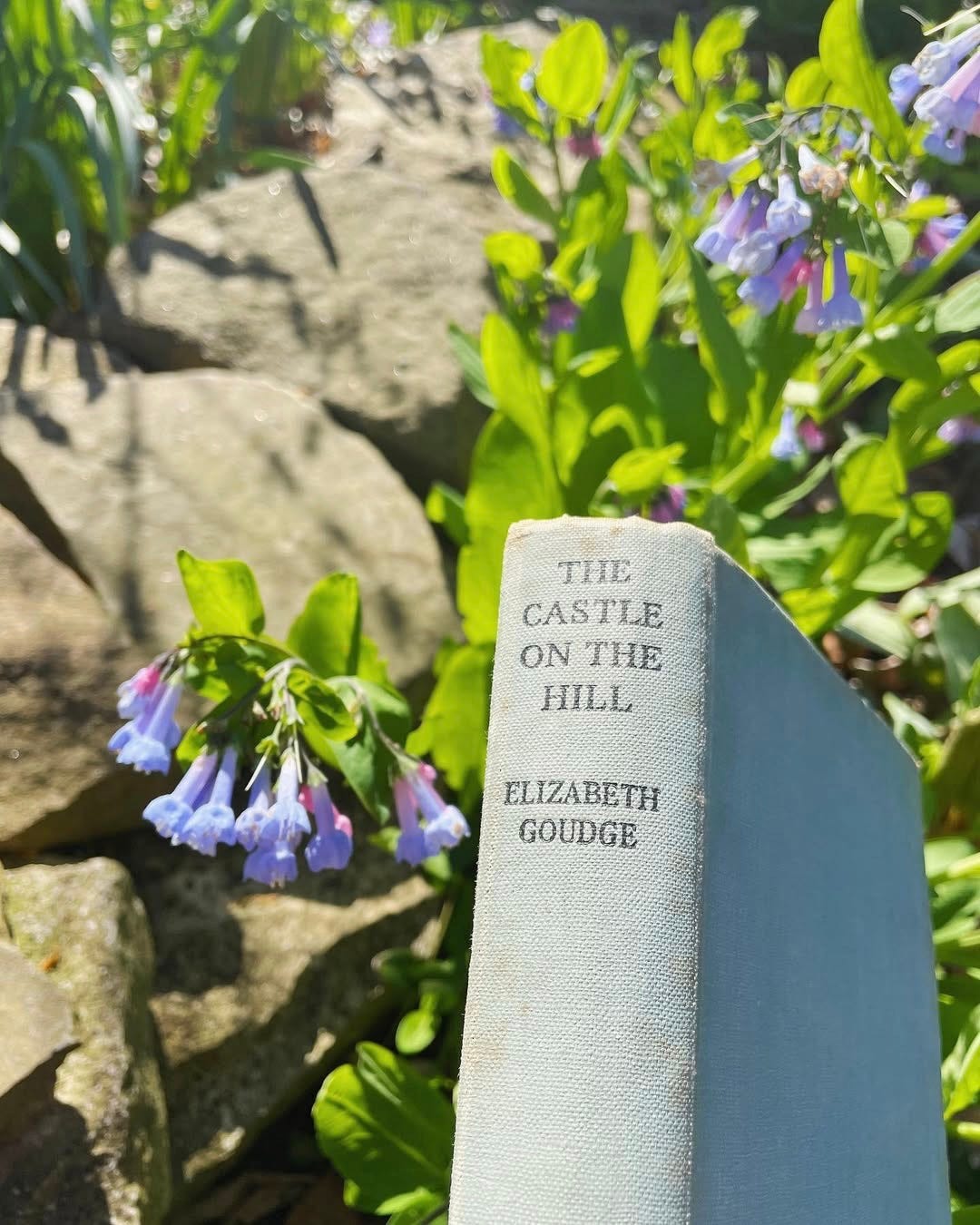 The Castle on the Hill by Elizabeth Goudge
