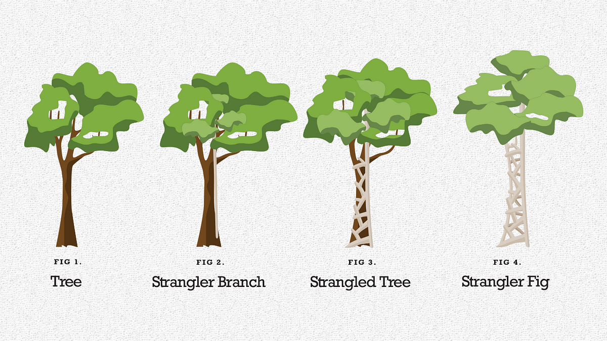 What is the Strangler Fig Pattern? | by Denny Lesmana | Medium