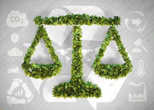 Policy Development Legal Rights Biomimicry Democracy Policy Development Legal Rights Biomimicry Democracy