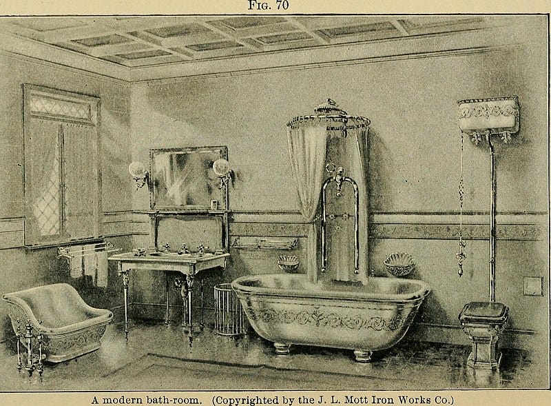 File:A manual of hygiene and sanitation (1903) (14780938754).jpg