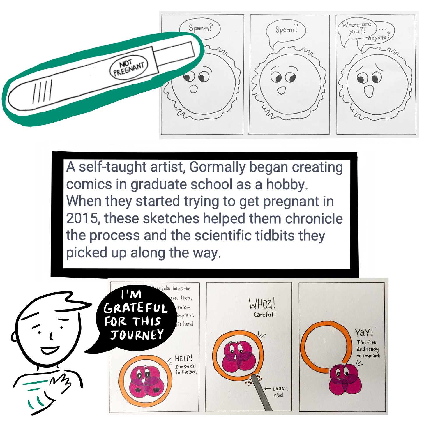  A “Not pregnant” pregnancy test. An egg saying “sperm? Sperm? Where are you? Anyone…?” A self-taught artist, Gormally began creating comics in graduate school as a hobby. When they started trying to get pregnant in 2015, these sketches helped them chronicle the process and the scientific tidbits they picked up along the way. A comic of an embryo. Cartoonist saying “I’m grateful for this journey.”