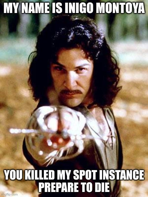 My name is Inigo Montoya.  You killed my spot instance.  Prepare to die.