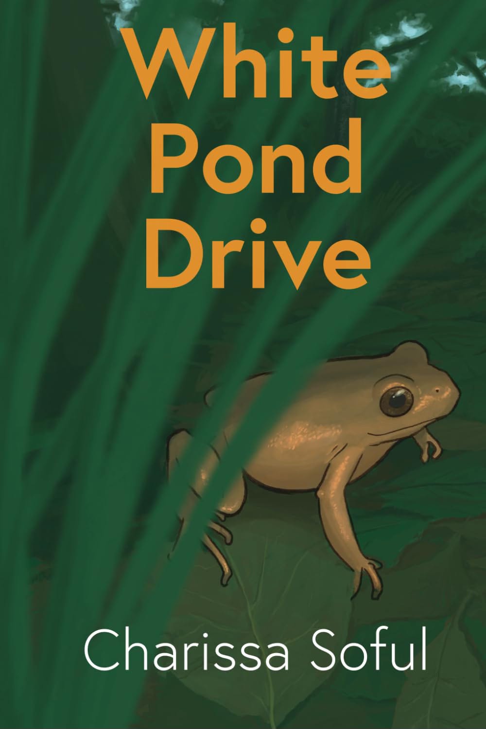 White Pond Drive book cover picture