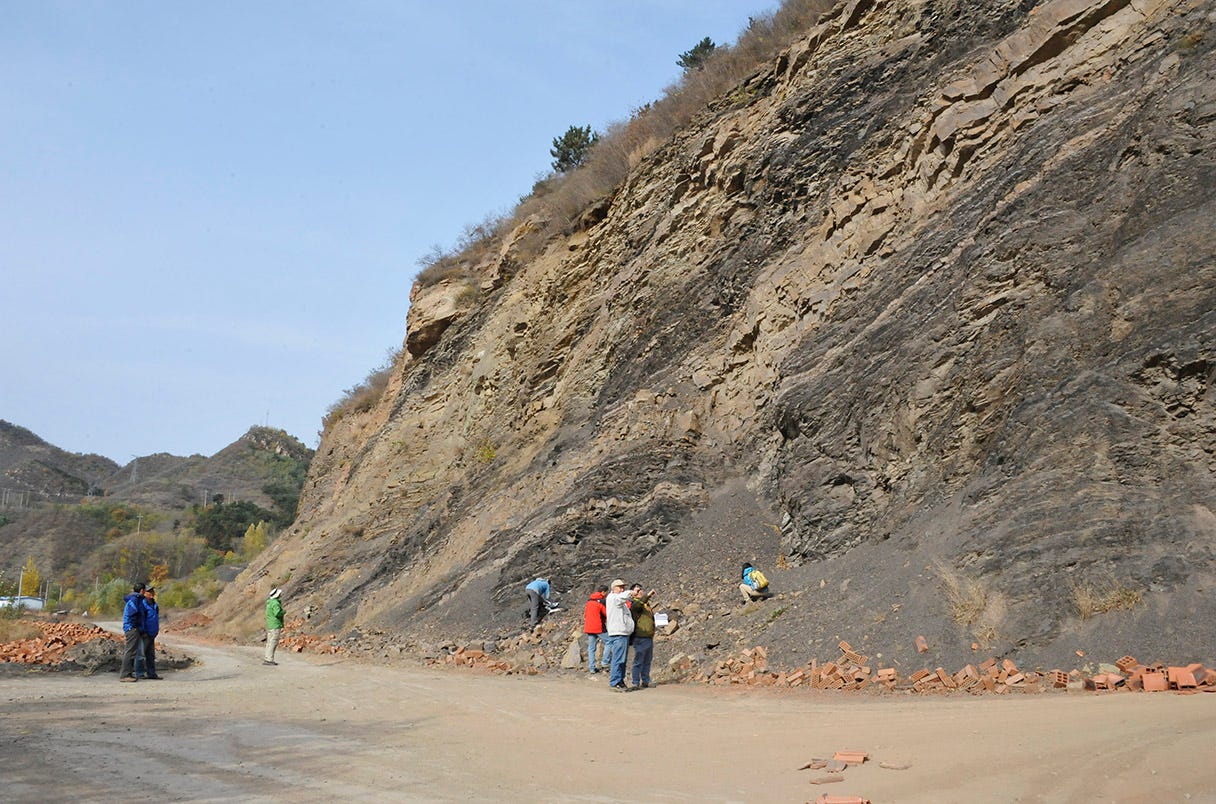 Chuanlinggou Formation in China