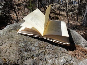 book in the woods