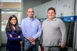 Prof Pablo Perez-Pinera, center is joined by fellow researchers Shraddha Shirguppe, left, and Angelo Miskalis, right, in a research space at Everitt Lab. Photo taken at the University of Illinois Urbana-Champaign on Friday, Dec. 20, 2024. (Photo by Fred Zwicky / University of Illinois Urbana-Champaign)