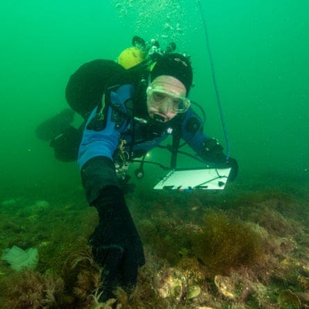 Prof Bill Sanderson, of Heriot-Watt University, diving in Loch Ryan/
