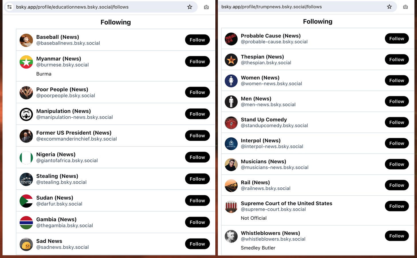 screenshots of the Following tab of two of the spam accounts