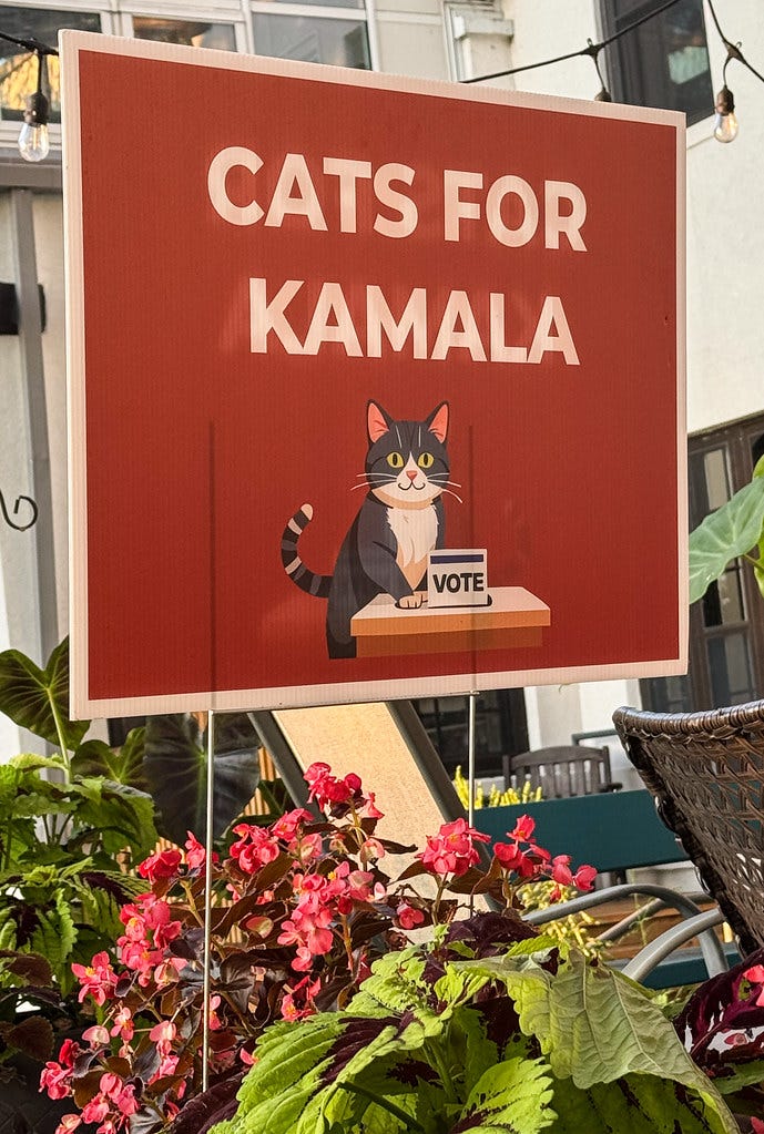 A red political yard sign that says "Cats for Kamala." "Cats for Kamala" by Cocoabiscuit is licensed under CC BY-NC-ND 2.0.