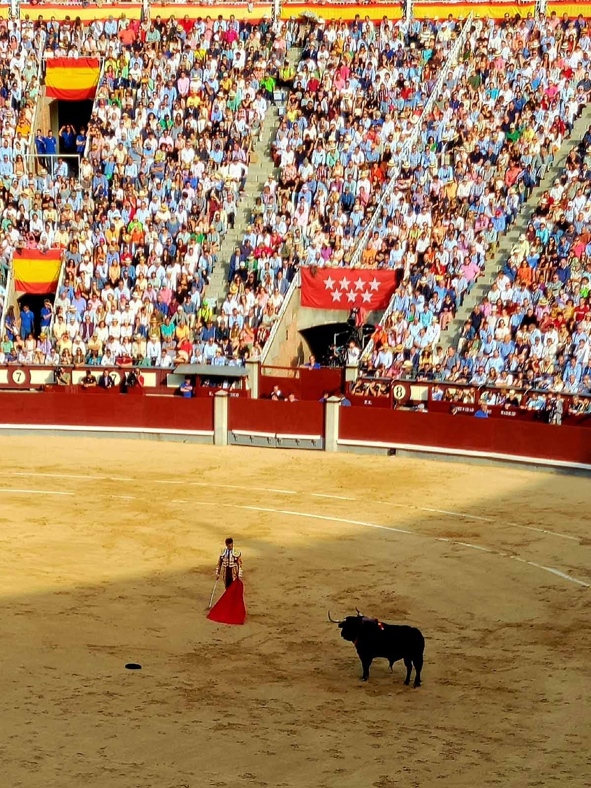 A matador facing off with a bull. 