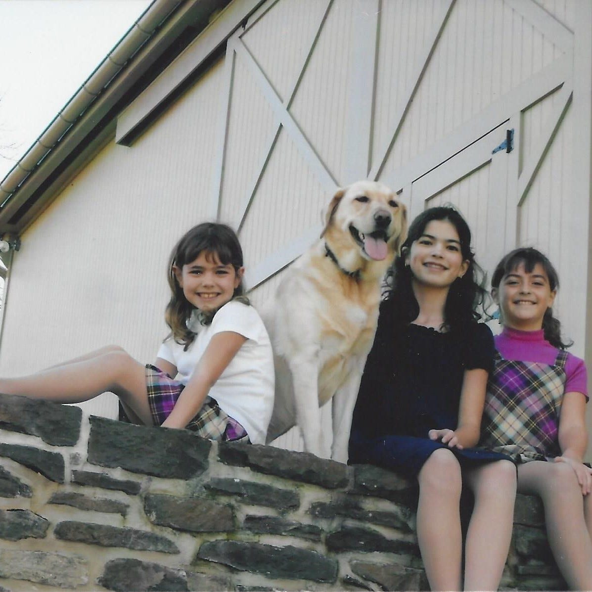 Three elementary school-aged girls happily posing with their yellow Lab in front of a barn