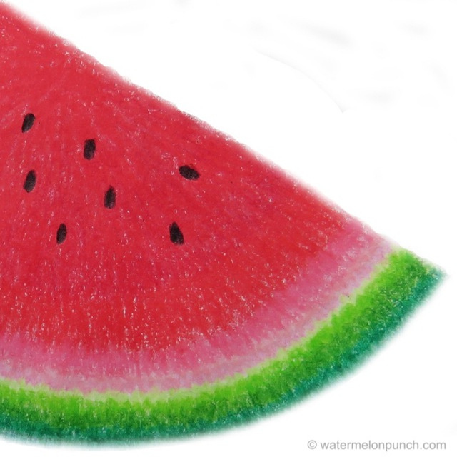 image is of a color pencil drawing of a wedge of watermelon, in the corner it says watermelonpunch.com