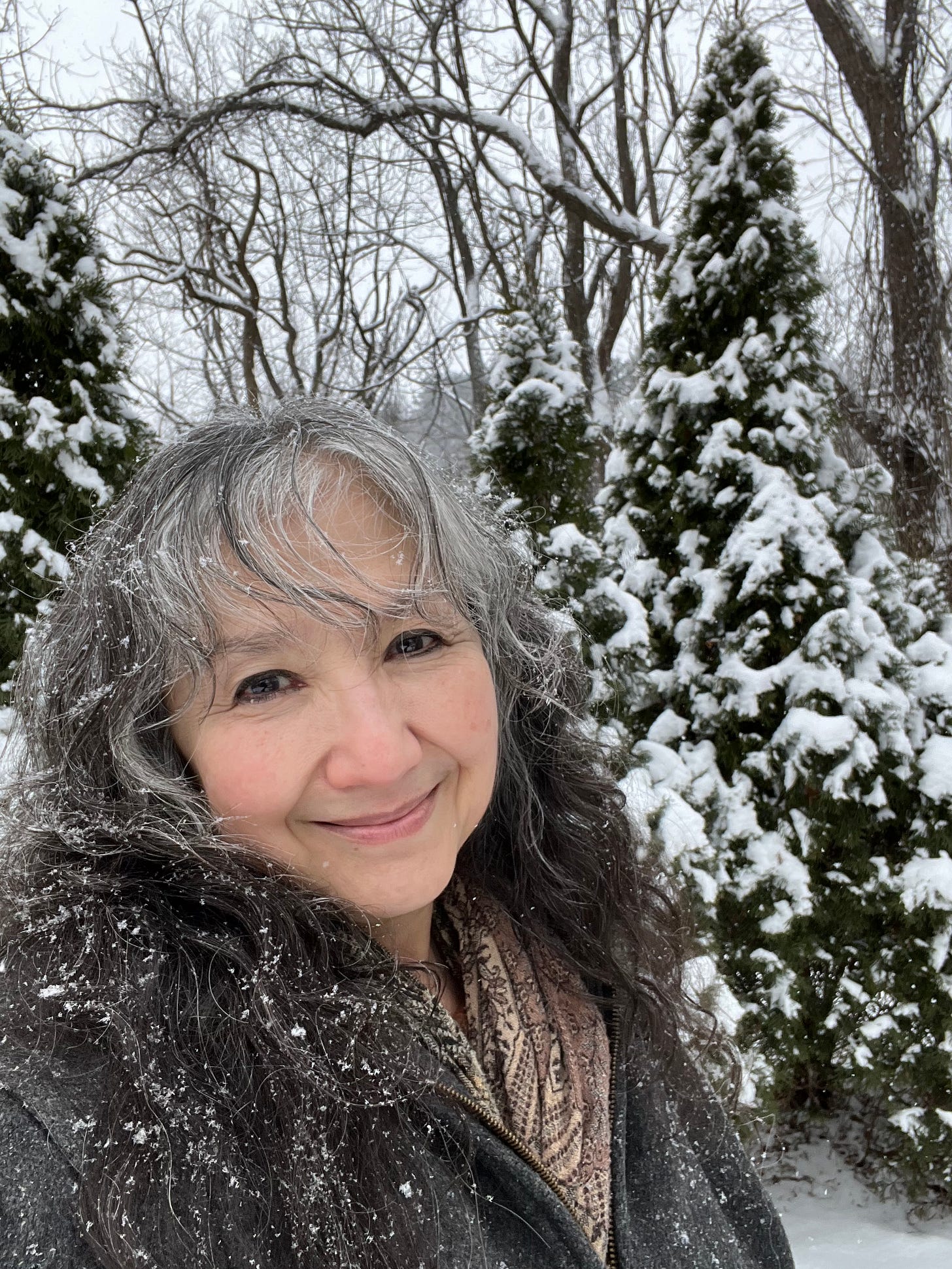 The Author, Demian, smiling at the camera as it snows around her, grey hair with snow flecks, snow-lined trees behind her The Author, Demian, smiling at the camera as it snows around her, grey hair with snow flecks, snow-lined trees behind her
