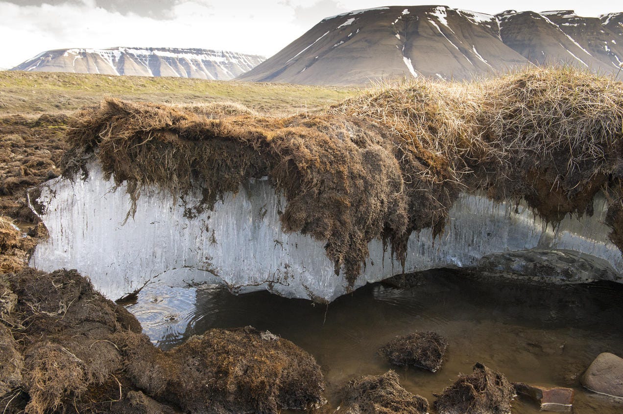 Photo of thawing permafrost in Norway.