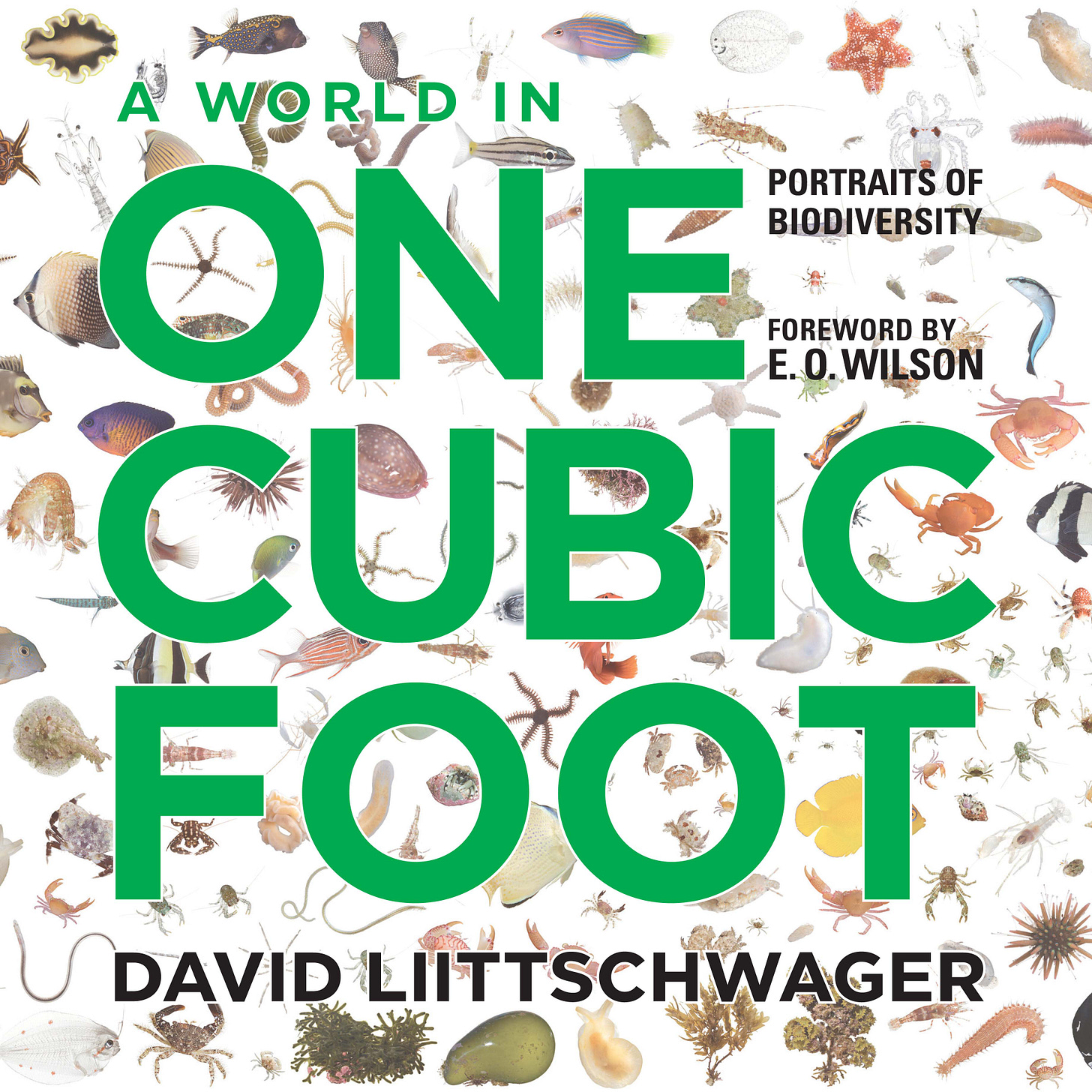 A World in One Cubic Foot: Portraits of Biodiversity, Liittschwager, Wilson, DiPiero A World in One Cubic Foot: Portraits of Biodiversity, Liittschwager, Wilson, DiPiero